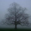 This is the pic that inspired me.